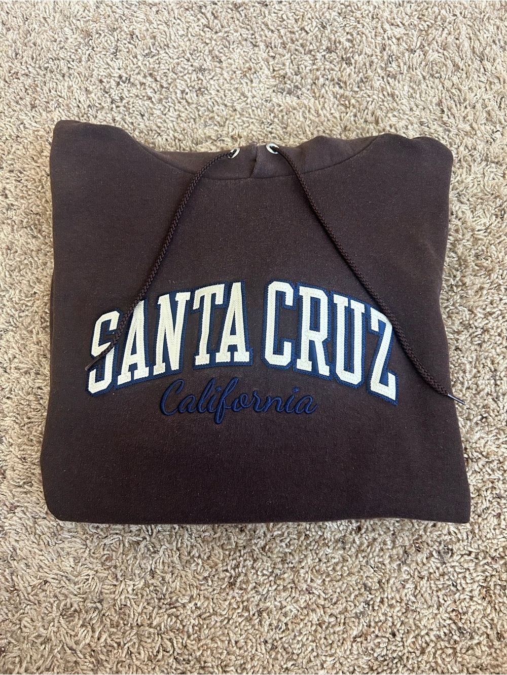 Champion Brown Santa Cruz California Pullover Hoodie